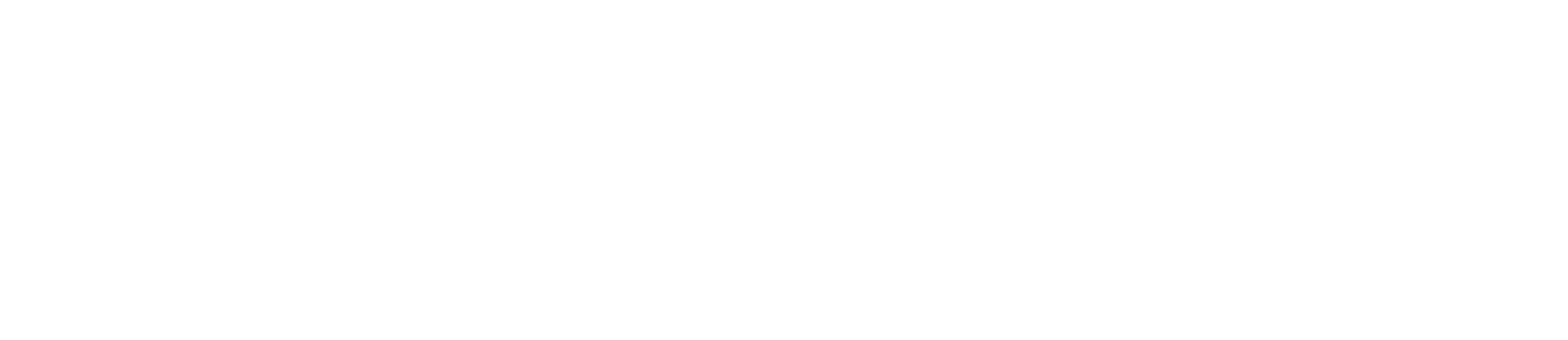 ACTIONMILL INOX-Ball Z3 cooled
