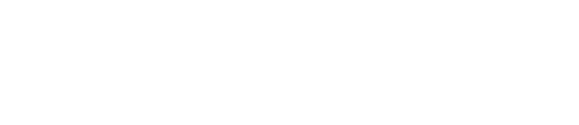 ACTIONMILL INOX-Ball cooled