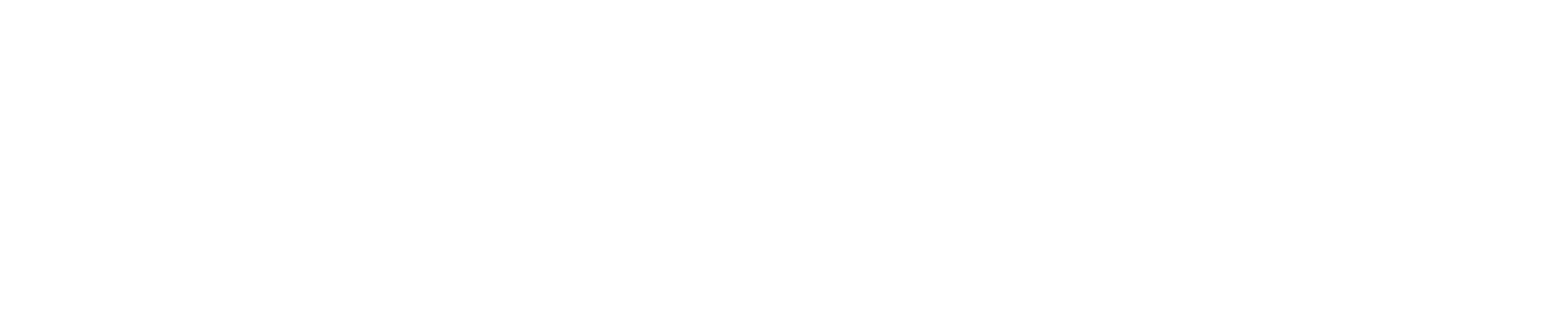 ACTIONMILL INOX Lollipop-Z4 260° without cooling